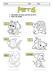 English Worksheet: My pets