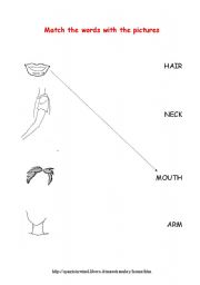 English Worksheet: match the word. PARTS OF THE BODY