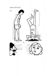 English Worksheet: Parts of The Body