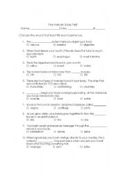 English Worksheet: The Human Body