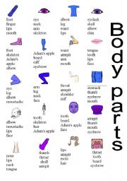 English Worksheet: body parts test
