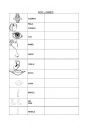 English worksheet: parts of the body