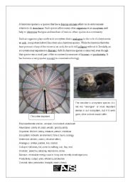 English worksheet: Keystone Species: TOEFL