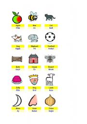 English Worksheet: the alphabet