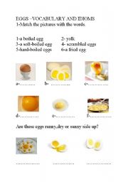 (the correct one)eggs-vocabulary and idioms