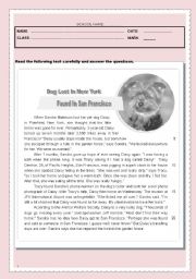 English Worksheet: Test - Dog lost in New York