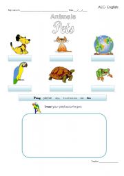 English worksheet: My pets