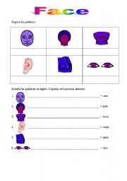 English worksheet: Face vocabulary