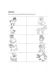 English Worksheet: Animal Names