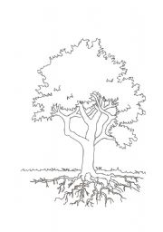 English worksheet: My family tree