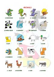English Worksheet: ANMALS