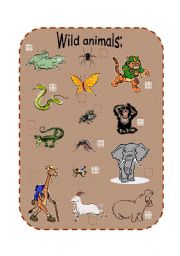 English worksheet: Wild animals and their habitats