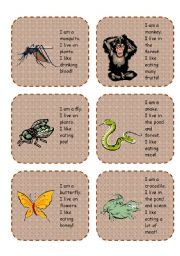 Animal cards activity