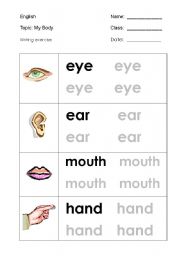 English Worksheet: My body