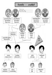English Worksheet: Basic family relationships / family tree