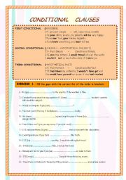 English Worksheet: Conditionals