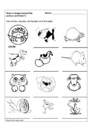 English Worksheet: Learning Shapes