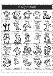 English Worksheet: FUNNY ANIMALS PICTIONARY