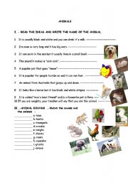 English Worksheet: Animals and animal sounds