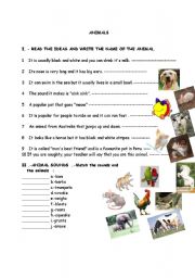 English worksheet: Animals and animal sounds