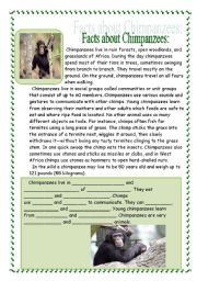 English Worksheet: Chimpanzees