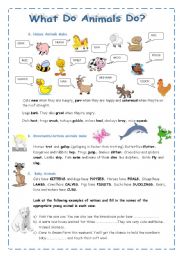 English Worksheet: ANIMALS