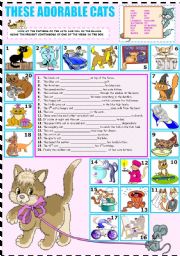 English Worksheet: THESE ADORABLE CATS (PRESENT CONTINUOUS)