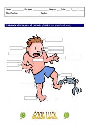 English Worksheet: Parts of the body worksheet