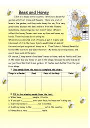 English Worksheet: Bees and Honey