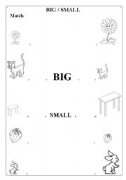 English Worksheet: Big and Small