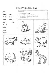 English Worksheet: Animal parts of the body