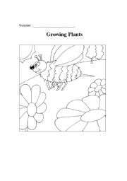 English worksheet: Growing Plants - Observation booklet