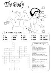 English Worksheet: The body