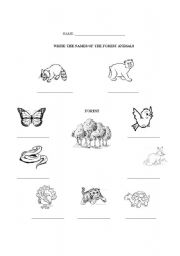 English worksheet: Forest animals names to write
