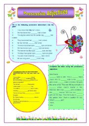 English Worksheet: Possessive Adjectives