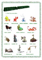 English worksheet: Animals in Carttons 2. Exercise.