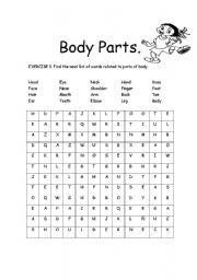 English Worksheet: body parts crossword