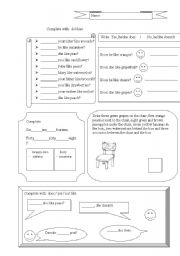 English Worksheet: Do, Does