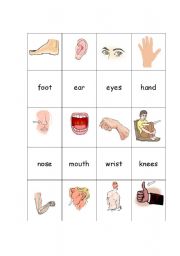 English Worksheet: Body Parts Concentration 