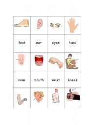 English worksheet: Body Parts Concentration 