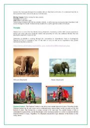 English worksheet: Elephant ( part 2 )