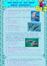 English worksheet: Dolphins project part 3 (QUIZ) + answers