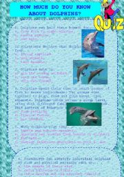 English Worksheet: Dolphins project part 3 (QUIZ) + answers