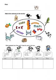 English Worksheet: ANIMALS-PETS