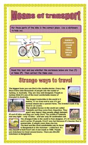 English Worksheet: Means of transport