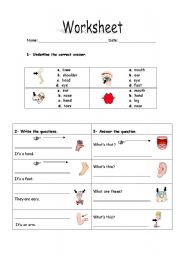 English Worksheet: Body parts