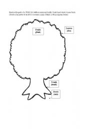 English worksheet: Parts of a tree