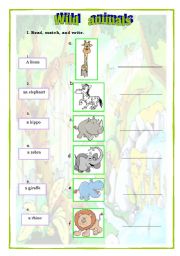 English Worksheet: Wild animals