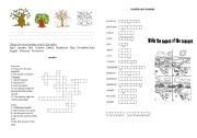 English Worksheet: seasons and months