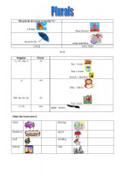 English Worksheet: Plurals